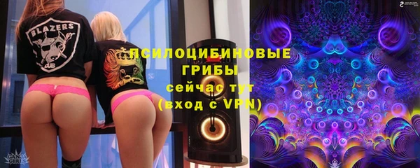 твердый Михайлов