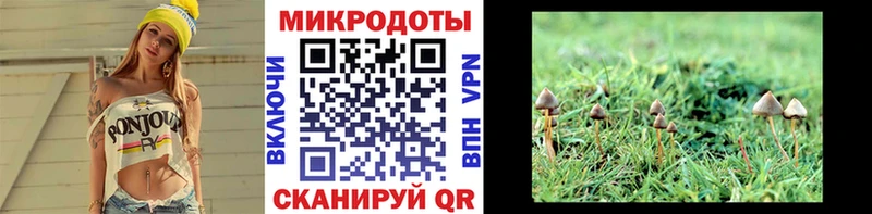 Псилоцибиновые грибы GOLDEN TEACHER  Сковородино 